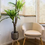 Beguest Cozy *